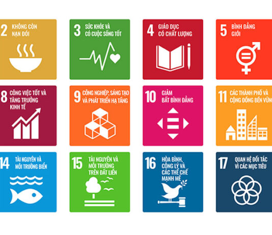 17 Mục tiêu Phát triển Bền vững (SDG)