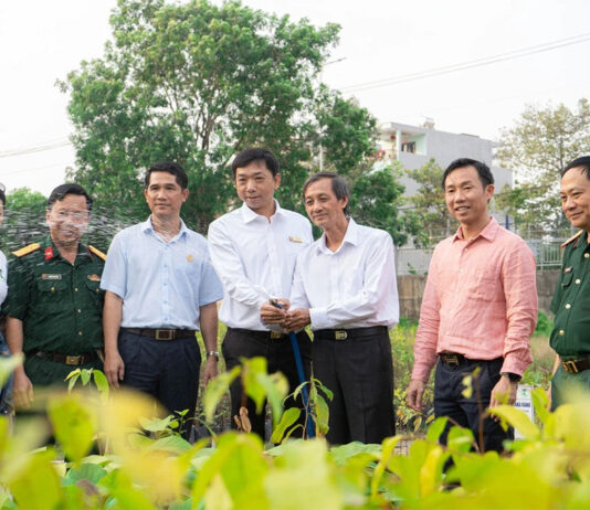 Một triệu cây vì biển đảo Tổ quốc, vì Quê hương Việt Nam xanh