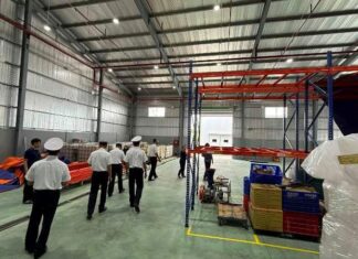 LỮ ĐOÀN 167 TRỒNG CÂY BÀNG VUÔNG VÀ THĂM NƠI LÀM VIỆC CÔNG TY BIOFIX