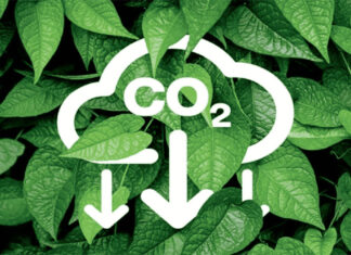 Chính phủ ban hành Nghị định quy định về sàn giao dịch carbon trong nước