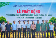 Phường Tam Long phát động phong trào trồng cây phân tán năm 2026