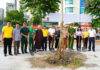 Phường An Nhơn khánh thành công trình “Vườn cây Đại đoàn kết”, lan tỏa phong trào xây dựng đô thị xanh