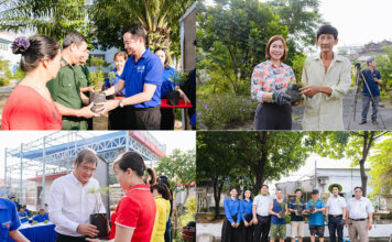 Ngày Chủ nhật xanh lần thứ 168 hưởng ứng Chiến dịch Làm cho Thế giới sạch hơn năm 2026
