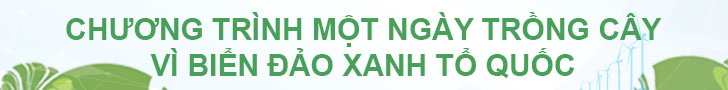 Vì Một Việt Nam Xanh